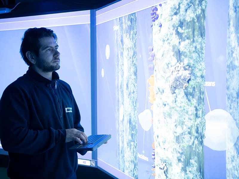 Intervento tecnico per configurazione videowall professionale